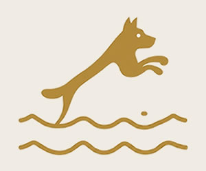 Summit Canine Club Splash Lagoon